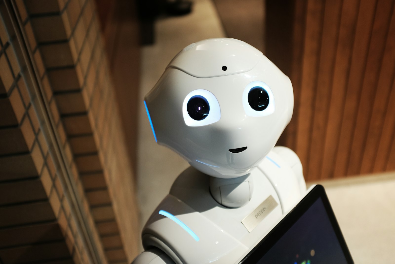 Smart Robot